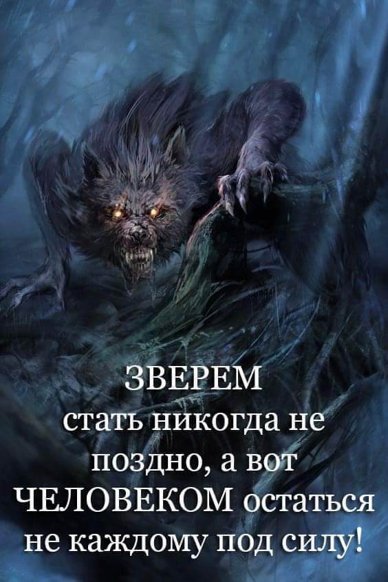 ������ ����������� - 12 ������� 2019 � 19:44