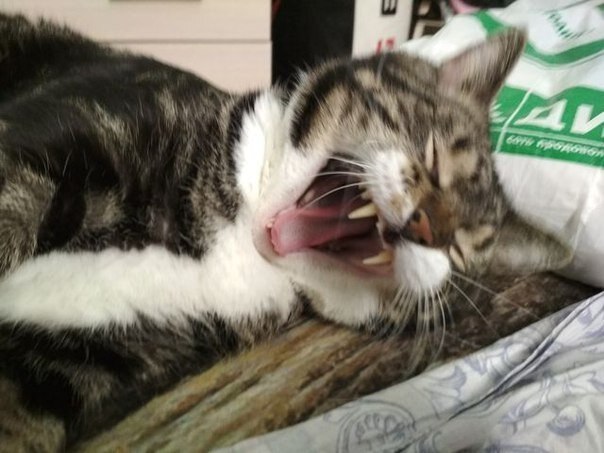 ���� �������, ��� ����� ����� ���� �������� �� ������. ���