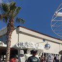 ���� �������, ������-����, 44 ���� - ��������� 20 ���� 2019 � ������ ������ ��������