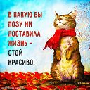 ���� �������, ����, 69 ��� - ��������� 29 ���� 2019
