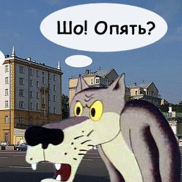 ���� �����, ���������, 51 ��� - ��������� 10 ��� 2019