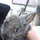 ���� ��������, ���������, 53 ���� - ��������� 3 ��� 2019 � ������ ���� ����������