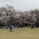 ���� ������� �, ������� - ��������� 5 ��� 2019 � ������ ������, ������ 2019�