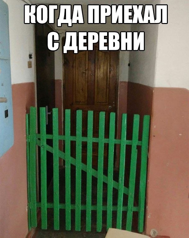    :D - 15  2019  02:01