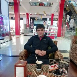 �����, �������, 36 ���