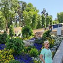 ���� ��������, ���������� - ��������� 5 ���� 2019 � ������ ������ ��������