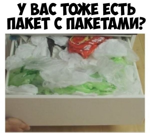 Ест пакеты. Пакет с мусором. Полиэтиленовый пакет на колени сядь. Ест пакеты. Ест пакеты.