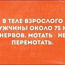 ���� �������, �����, 45 ��� - ��������� 24 ��� 2019 � ������ ������ ��������