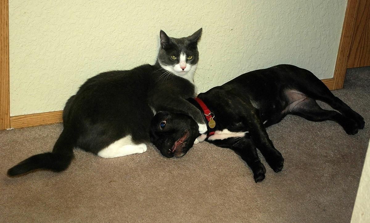 Ko, oo  c      !