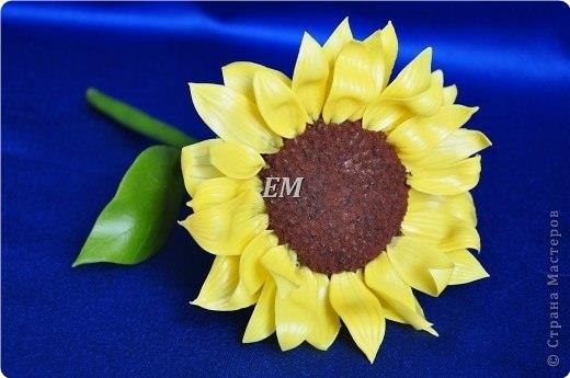 oo.Aop: Eopoee o e. - 9