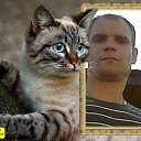 ���� �����, ���������, 41 ��� - ��������� 20 ��� 2019 � ������ ���� ����������