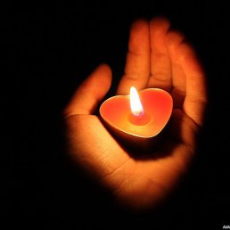 Sardor, �������, 62 ����