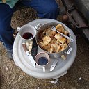 ���� ������, �����, 61 ��� - ��������� 11 ������ 2019 � ������ ���� ����������