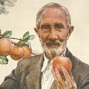 ���� �����, ���������, 51 ��� - ��������� 3 ������� 2019 � ������ ���� ����������