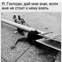 ���� ������, ����, 66 ��� - ��������� 7 ������� 2019 � ������ ������ ��������