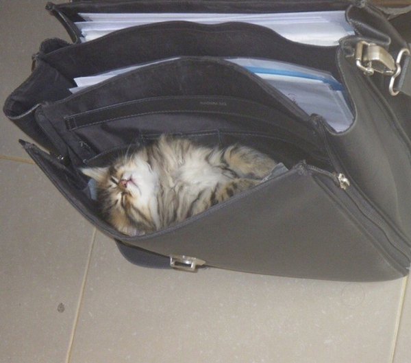      :3