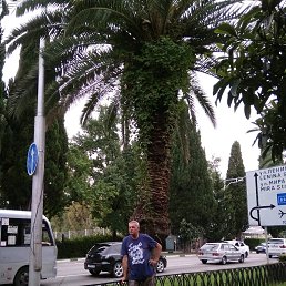 ���������, ����������, 69 ���