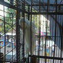 ���� ����, ������� - ��������� 13 ���� 2019 � ������ ����� 2019�