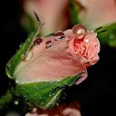 ���� �������, �����-��������� - ��������� 28 ��� 2019 � ������ ���� ����������