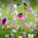 ���� �����, ���������� - ��������� 1 ��� 2019 � ������ ���� ����������