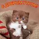 ���� ����, ������ - ��������� 28 �������� 2019 � ������ ���� ����������