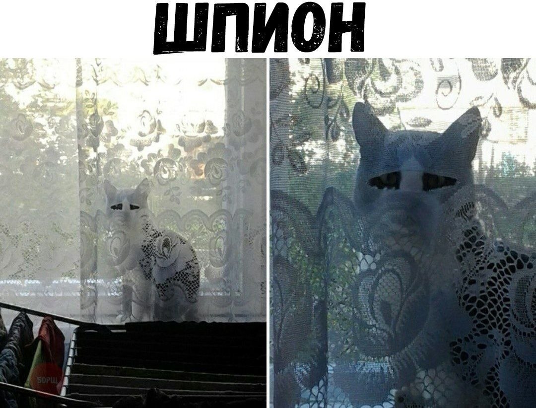  - 3  2019  02:27