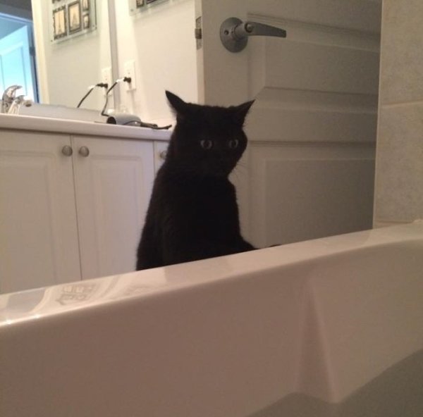 Moe  ac , aoap pcaoy a ax oe.   o o ... - 8