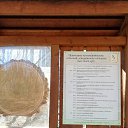 ���� Alina, �����-���������, 57 ��� - ��������� 19 ������ 2019 � ������ ������ ��������