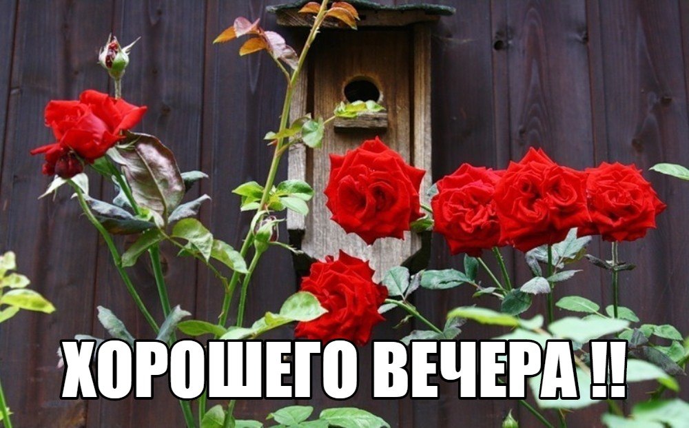   ,    . - 15  2019  18:11