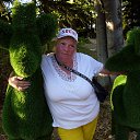  ,  , 52  -  11  2019   2019