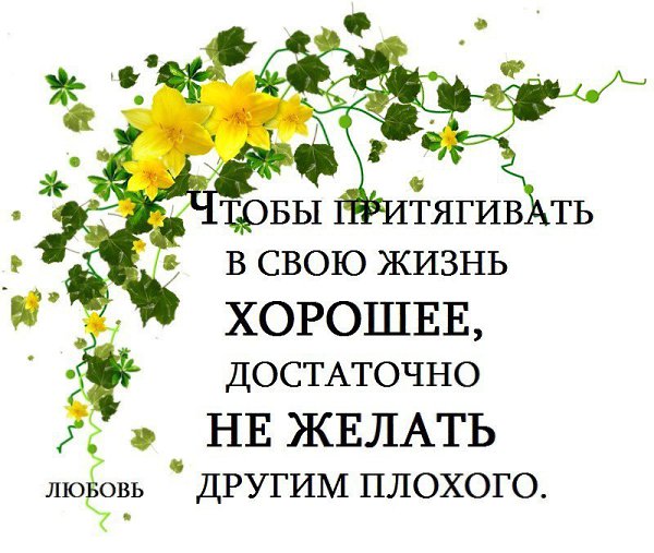  - 17  2019  07:53
