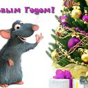 ���� ����������, �����-��������� - ��������� 31 ������� 2019 � ������ ������ ��������