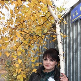 ������, ���������, 46 ���