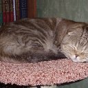 ���� Sandra, ������ - ��������� 6 ��� 2019 � ������ ������