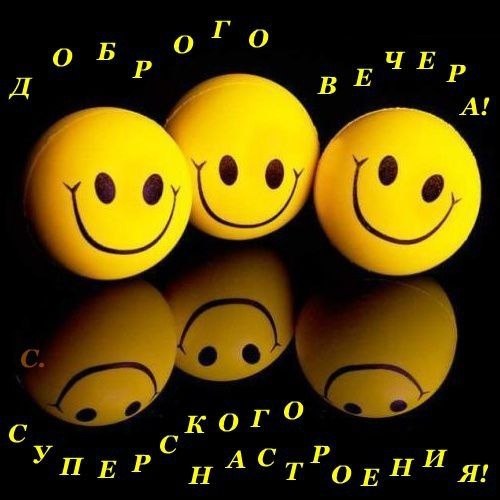   ,    . - 31  2019  17:48 - 2