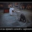 ���� ������, ���������, 62 ���� - ��������� 13 ������ 2019 � ������ ������ ��������