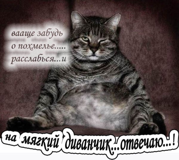 Всё будет хорошо! - 2 сентября 2019 в 09:29