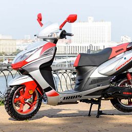 ������, ������, 48 ���