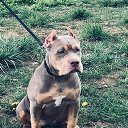 ��� 4 ������ �� ������� ���� ����������