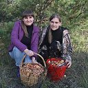 ���� ����, ������, 62 ���� - ��������� 4 ��� 2019 � ������ ���� ����������