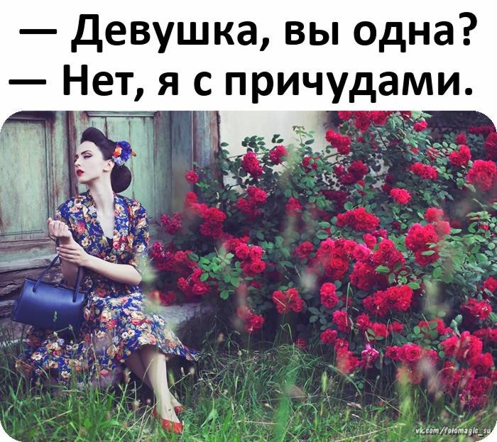   ,    . - 17  2019  20:41