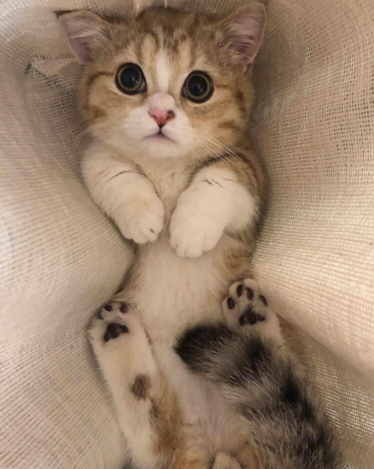   :3 - 6