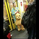 ���� ������, ������� - ��������� 25 �������� 2019 � ������ ���� ����������