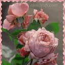 ���� Fatih, ����� - ��������� 23 ������� 2019