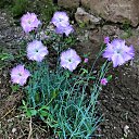 ���� Ashot, ������, 67 ��� - ��������� 30 ��� 2019 � ������ ������ ��������