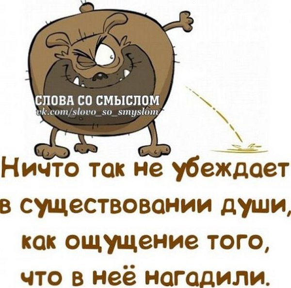   ! - 3  2019  14:31