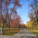 ���� Aleksey, ���������, 64 ���� - ��������� 20 ������� 2019 � ������ ���� ����������