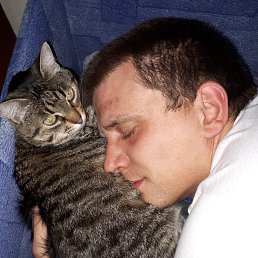 �����, �������, 36 ���