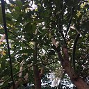 ���� ����, �����������, 50 ��� - ��������� 6 ������ 2019 � ������ ������������� ���