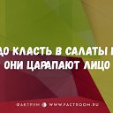 ���� ����, ��������� - ��������� 8 ������ 2019 � ������ ������ ��������